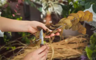 Artisan fleuriste coupant une tige de feuille.