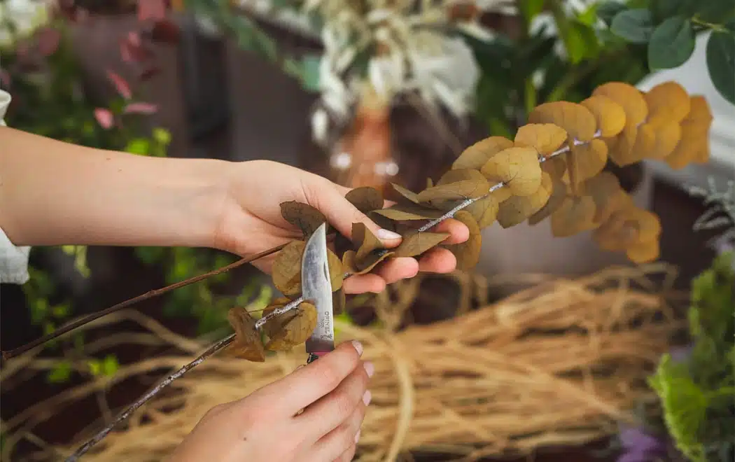 Artisan fleuriste coupant une tige de feuille.