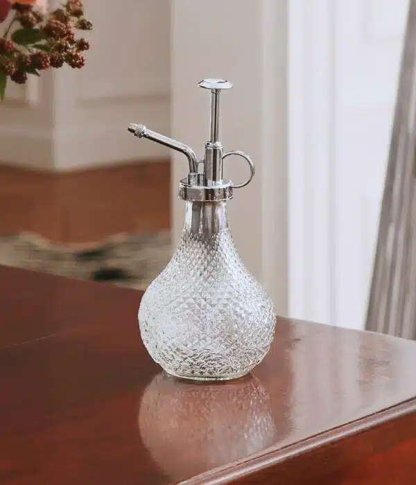 vaporisateur en verre, arroser les plantes, décoration