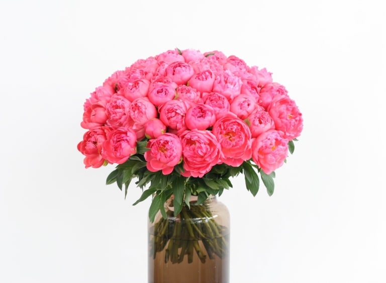bouquet de pivoines corail