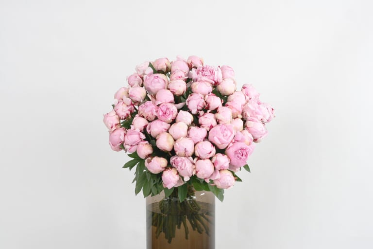 bouquet de pivoines roses pâles