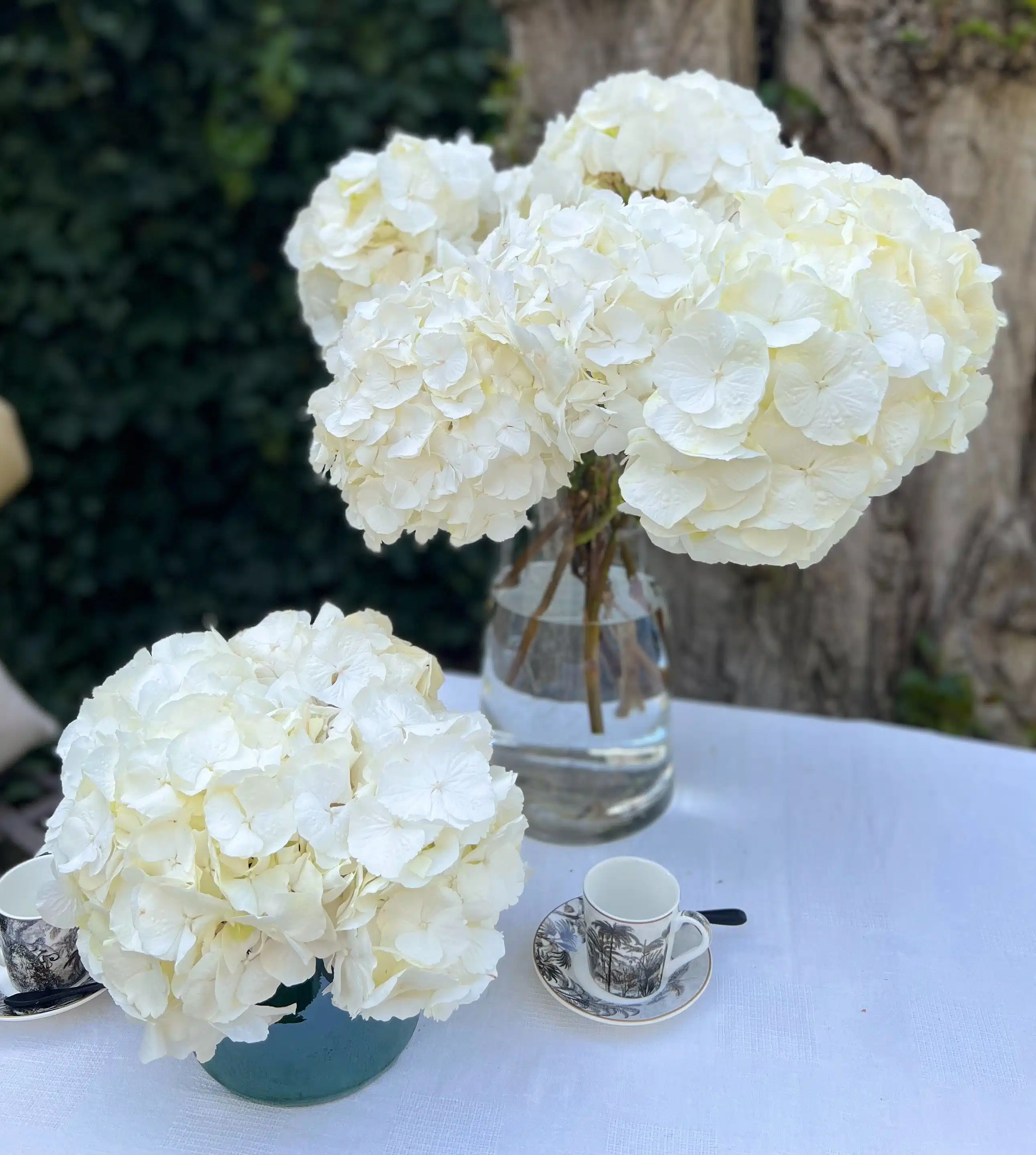 bouquet d'hortensias blancs