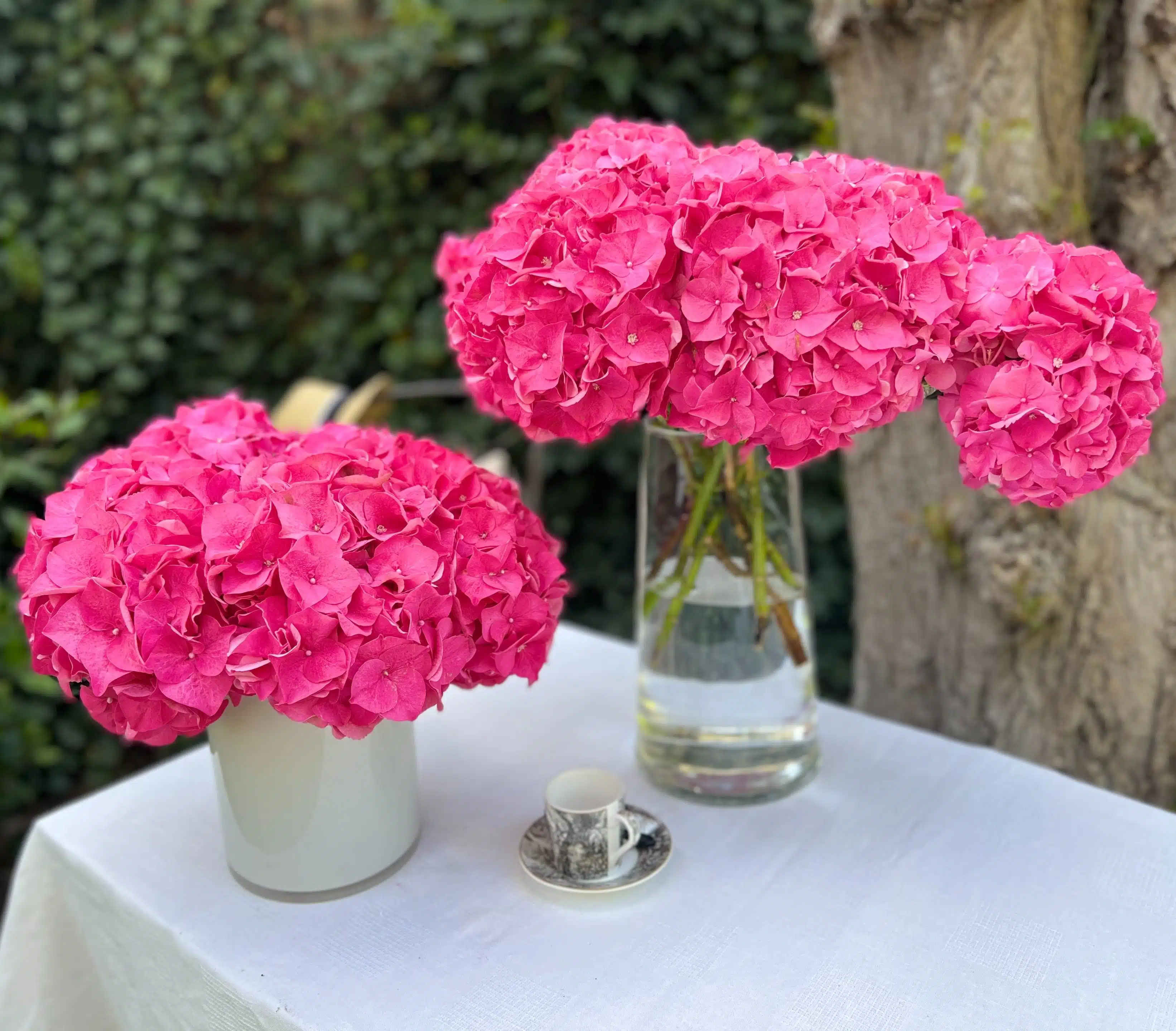 bouquet d'hortensias fuchsia bouquet à offrir