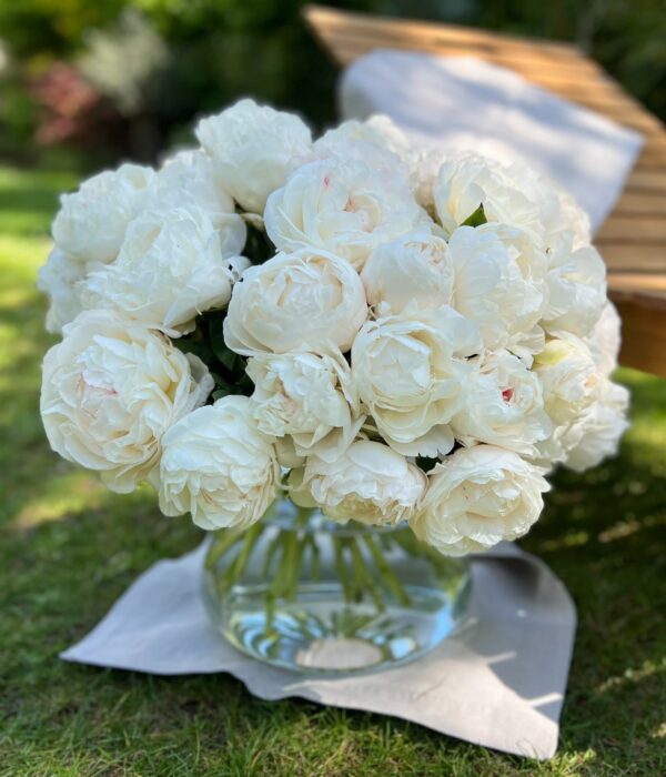 bouquet de pivoines blanches