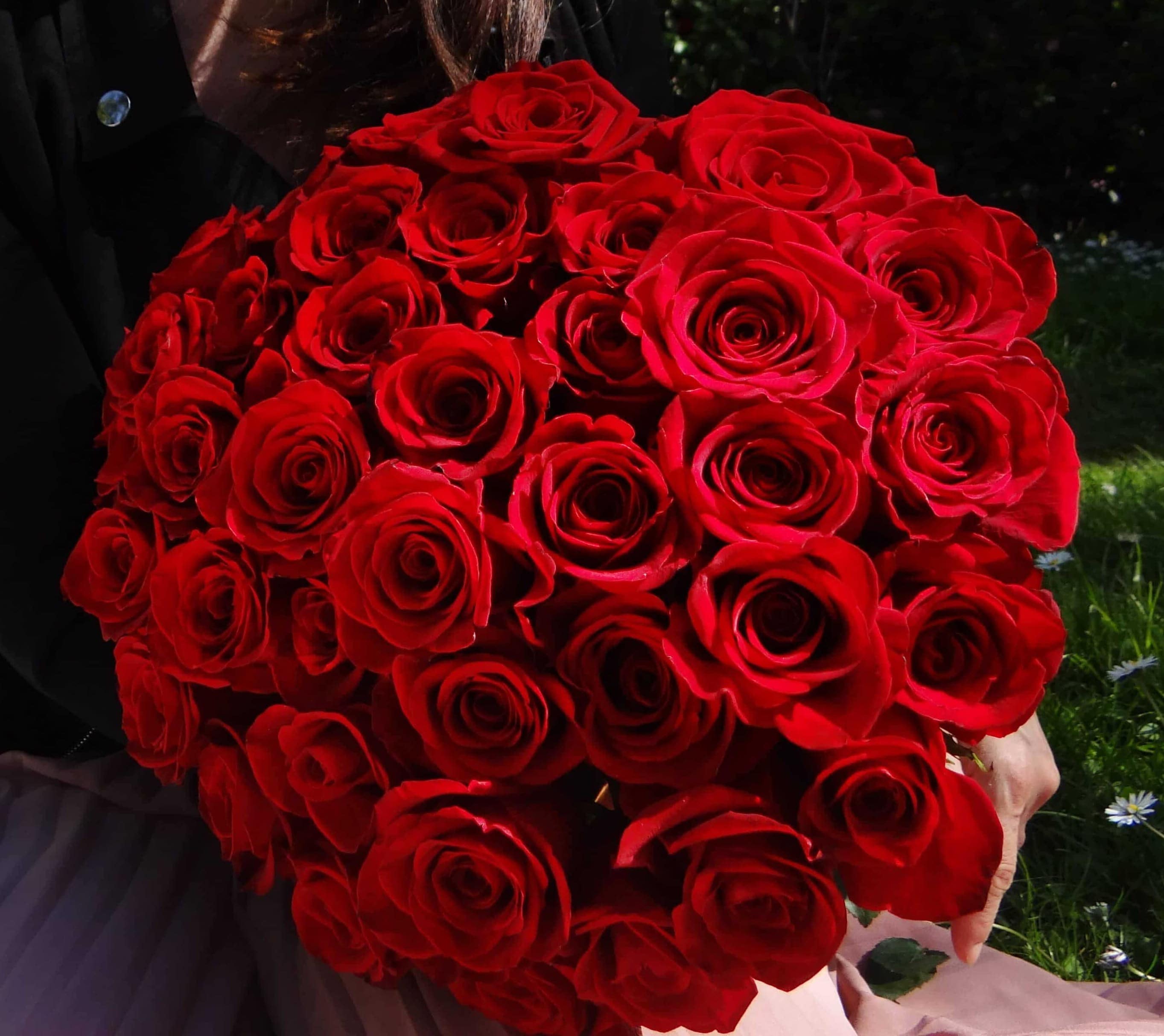 bouquet de roses rouges