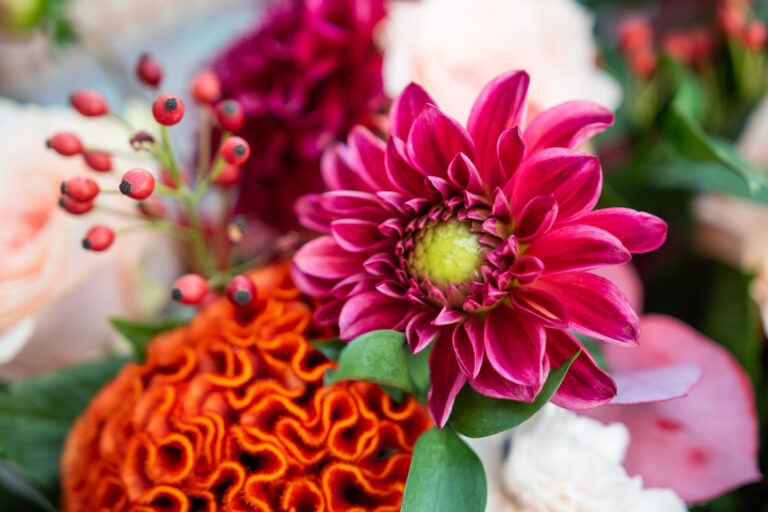 le gourmand bouquet orange rouge baies dahlias célosie rose peche automnal