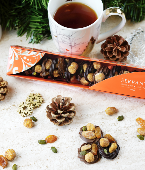 reglette mendiants chocolats servant lait noir noisette amande pistache raisin