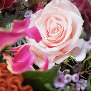 rose bouquet de fleurs composé