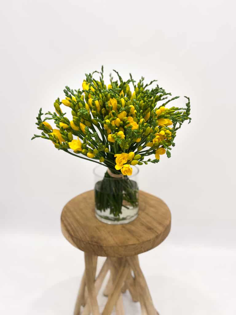brassée de freesias jaunes